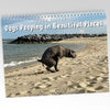 Dogs Pooping in Beautiful Places 2022 Calendar