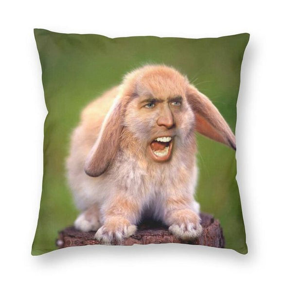 Nicholas Cage Meme Pillow